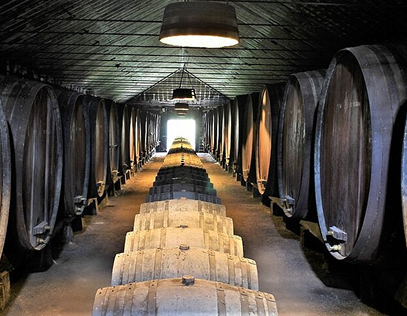 WINE AND SIGHTSEEING