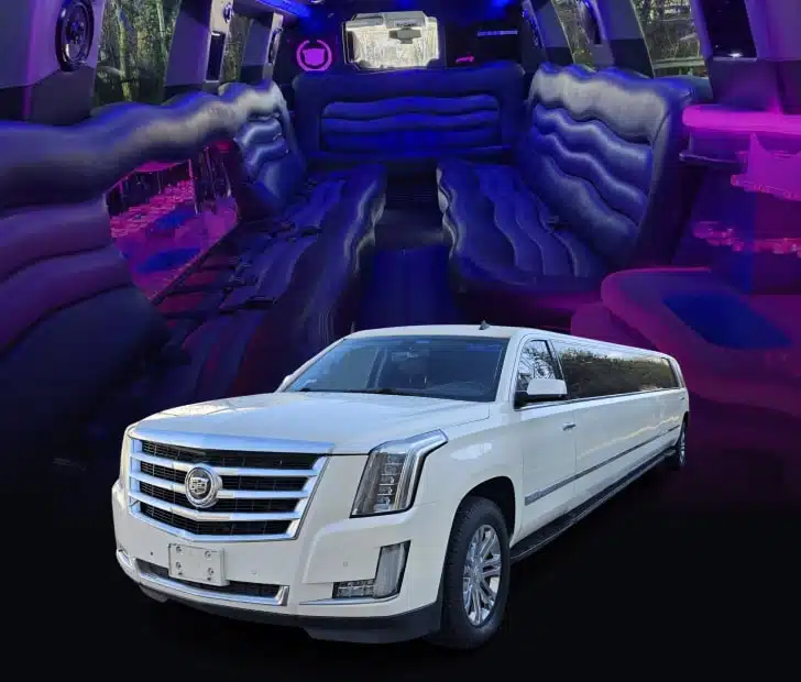 18v-min.jpg
