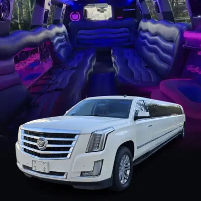18v-min.jpg